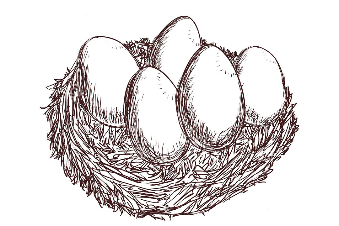 创世的魔法，画圈的神话