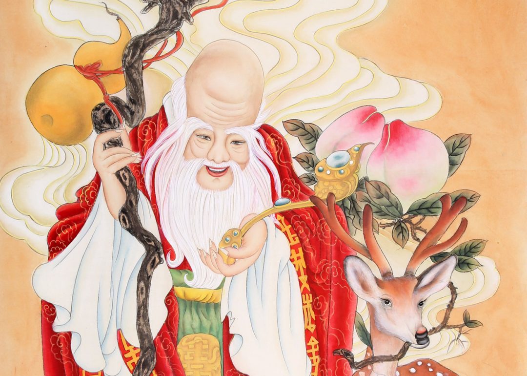 南极仙翁
